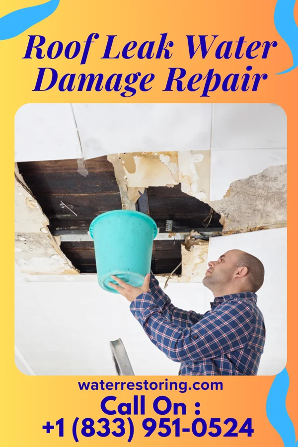 Roof Leak Water Damage Repair in Fruitdale, CA